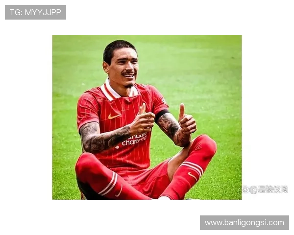 努涅斯身价是否虚高？分析数据与比赛影响力的差距在哪